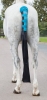 Shires ARMA Padded Tail Guard with Bag